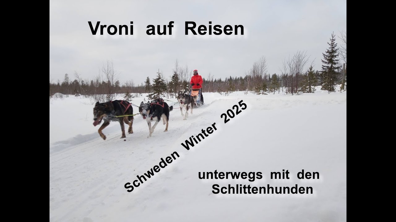 Husky Schlittenfahrt durchs verschneite Schweden bei -14 Grad 🥶