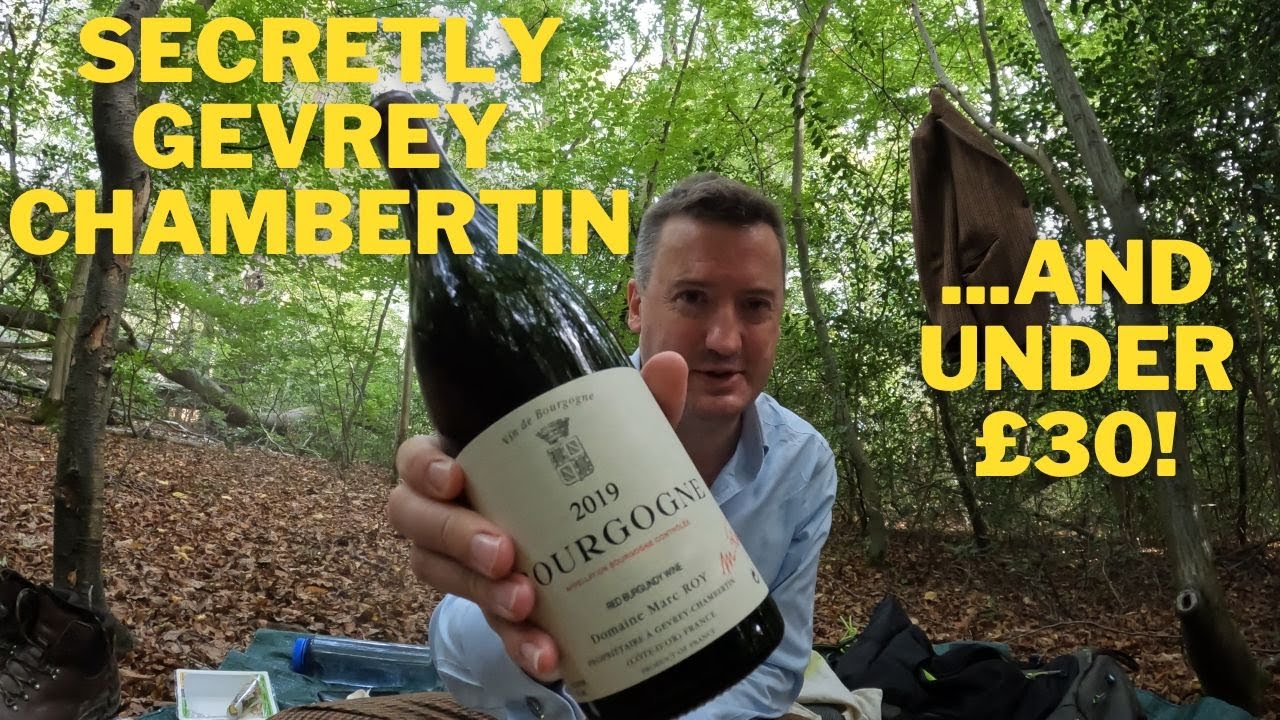 Bargain Gevrey Chambertin?! Marc Roy Bourgogne 2019