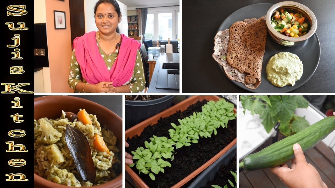 Why no Videos? Vegetable from my Little garden|| Healthy breakfast & Lunch recipes|| Routine Vlogs