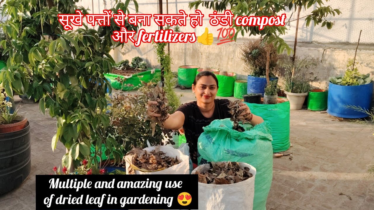 Sukhe patton se bnaoo thandi khaad👍💯/multiple and amazing use of dried leaf in gardening😍#compost 