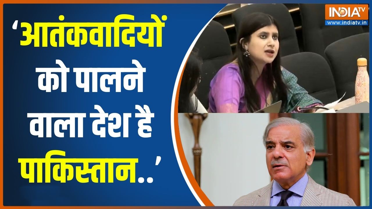 India on Pakistan in UN: India strongly criticized Pakistan on the Indus Water Treaty and Kashmir issue.