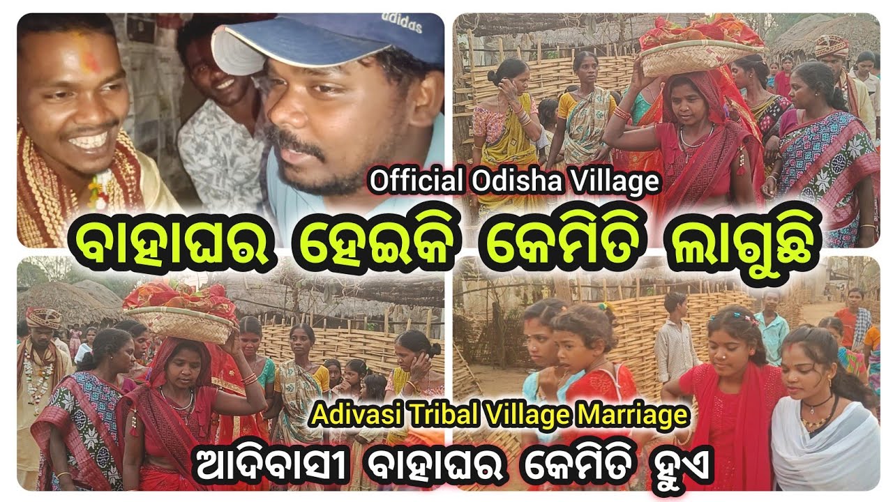 ଆଦିବାସୀ ବାହାଘର କେମିତି ହୁଏ😍Tribal Village Marriage Life | Sukhulakhol Angul | Official Odisha Village
