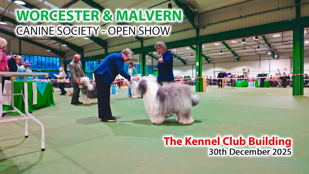 Applejem   Worcester & Malvern Canine Society   30122025