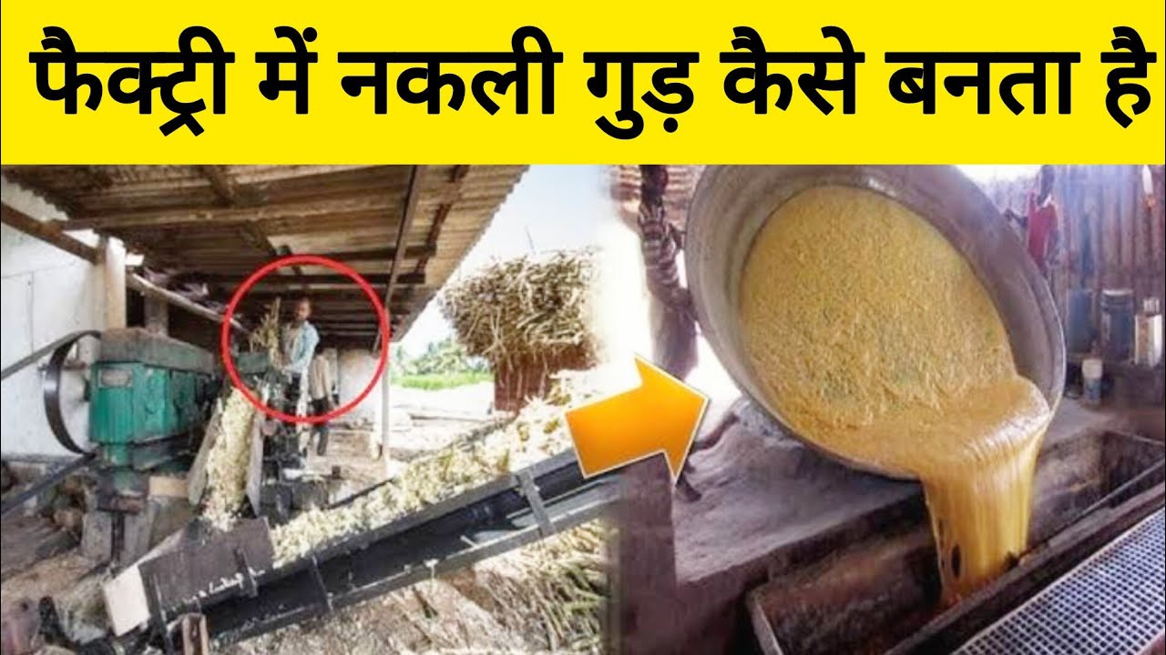 फैक्ट्री में नकली गुड़ कैसे बनता है | How Fake Jaggery is Made In The Factory
