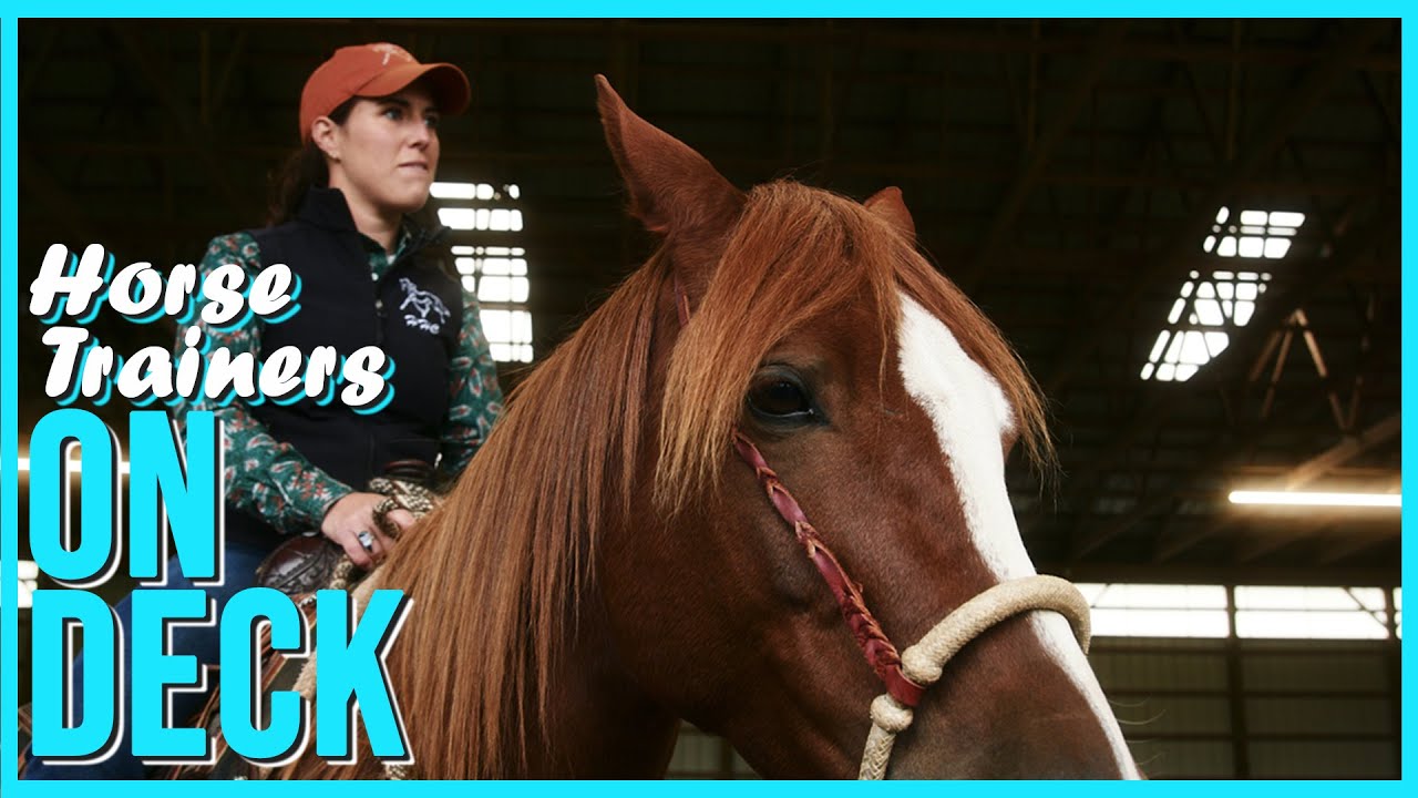 Master horse trainers' advice for those new to horses---with Julia and Christine Wertz