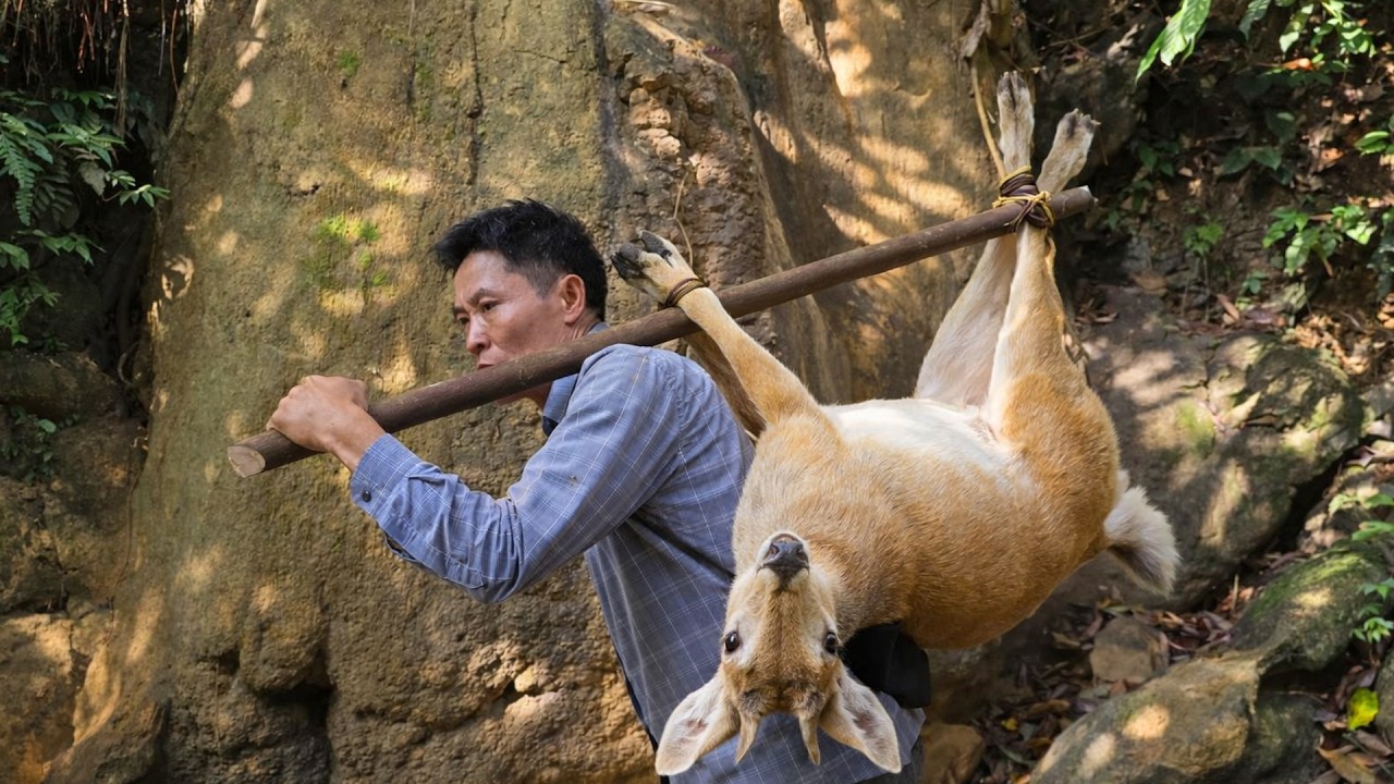 Extreme Wilderness Survival Skills: Track and Trap Wild Goats Alone in the Mountains