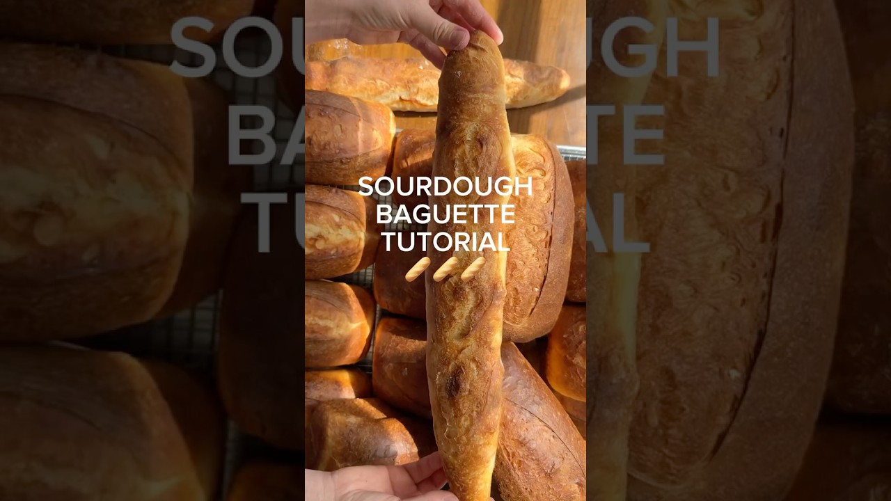 If you can make sourdough, you can make baguettes! 🥖 baguette shaping tutorial 