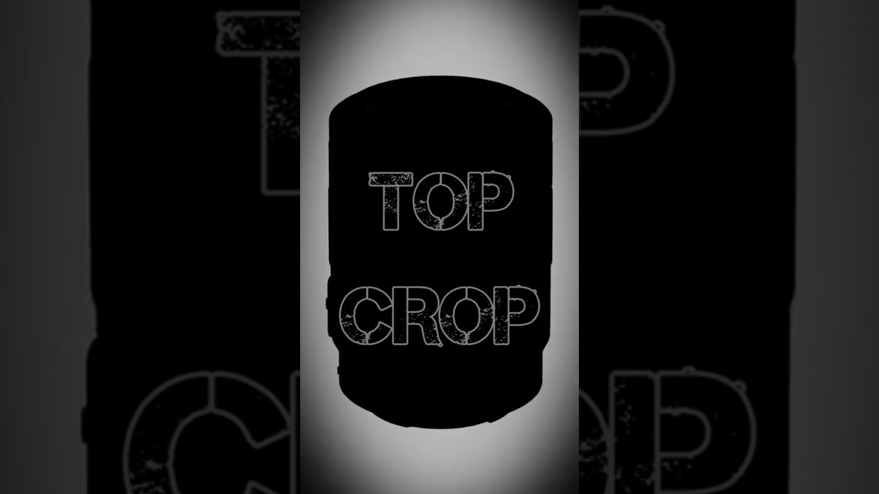 TOP CROP ) Мой Топ объективов для кроп камер Sony) #shorts