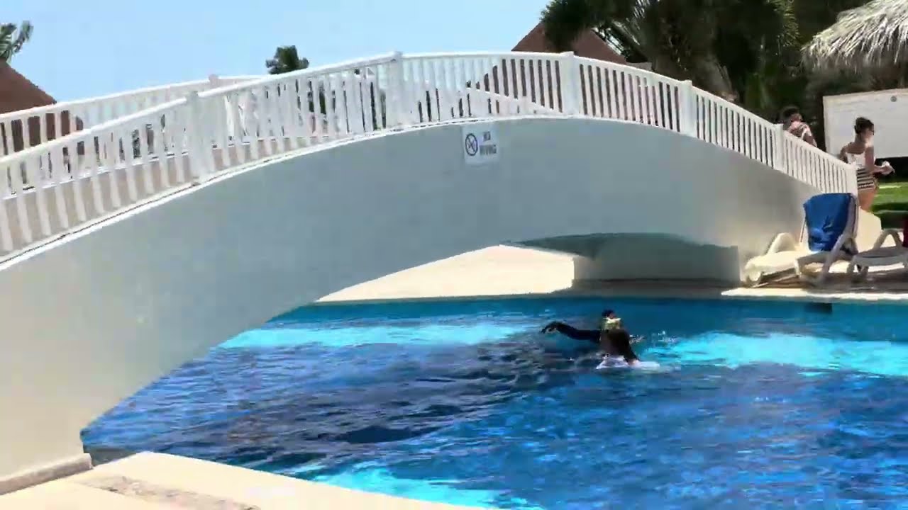 Jamaican vlog#5 Exploring the beautiful pool at hotel Bahi #hotel#jamaica 