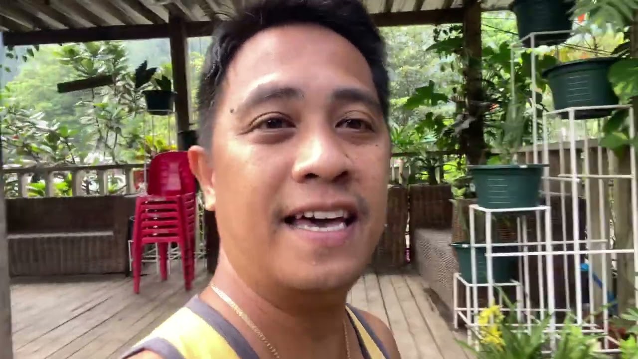 Early linis | Bilad ng carpet | Pinagluto kami ng ginisan pechay ni Paloma