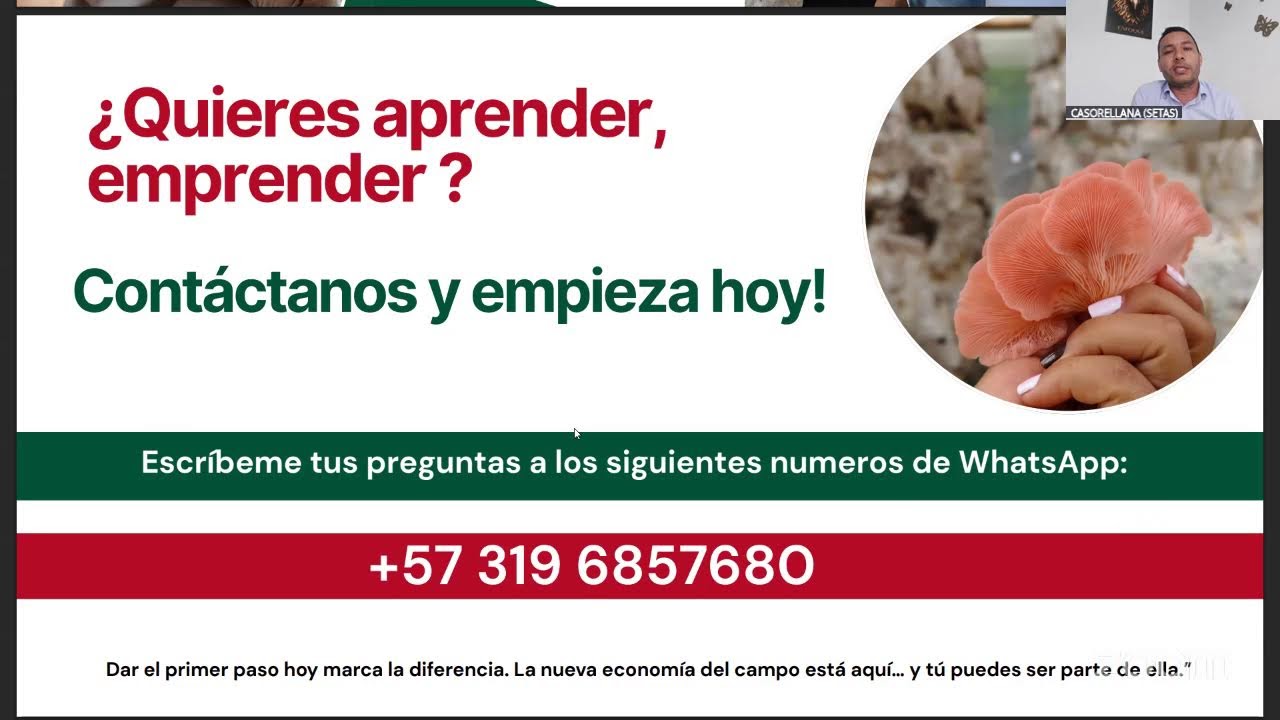 Oportunidades de comercialización con el cultivo de las setas con Casorellana