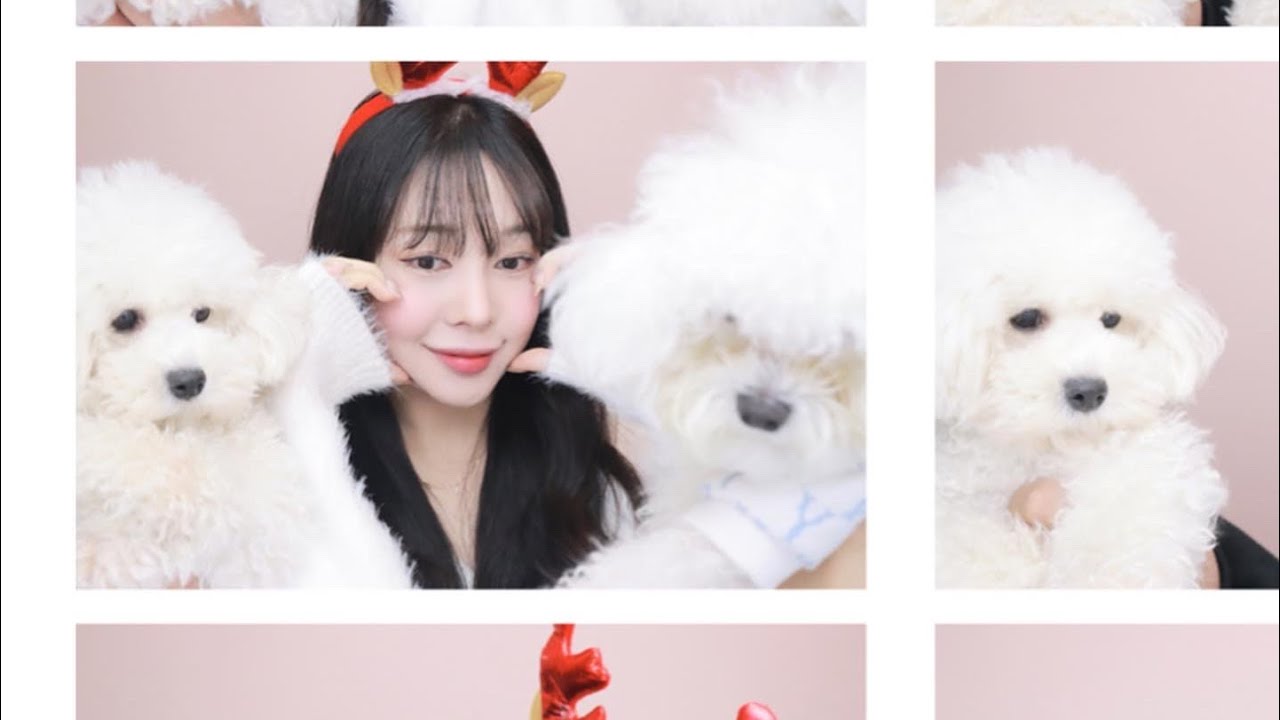 A dog vlog that disturbs me[임수볶음밥 기록]