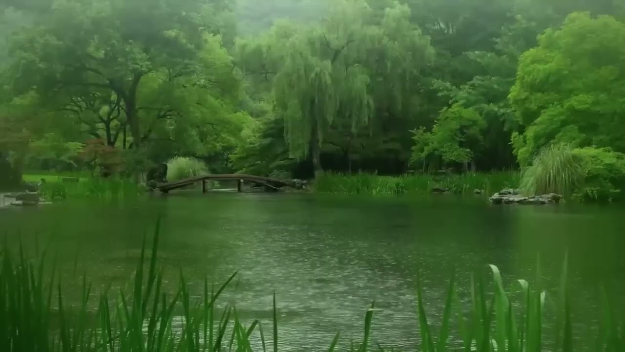 Ruhiger Fluss im Wald bei Regen