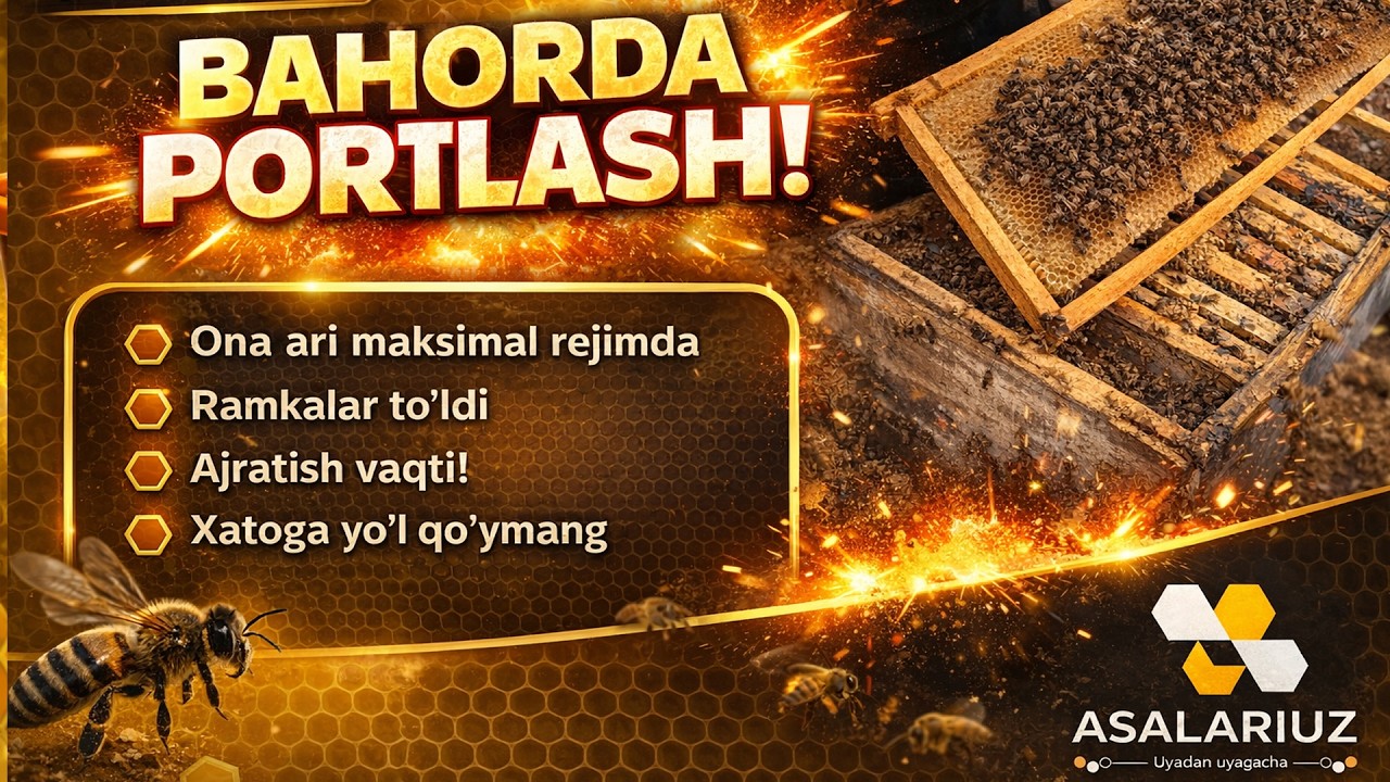22 Fevral arilar yaxshi rivojlanmoqda. Gulchang zo'r kelyapti.