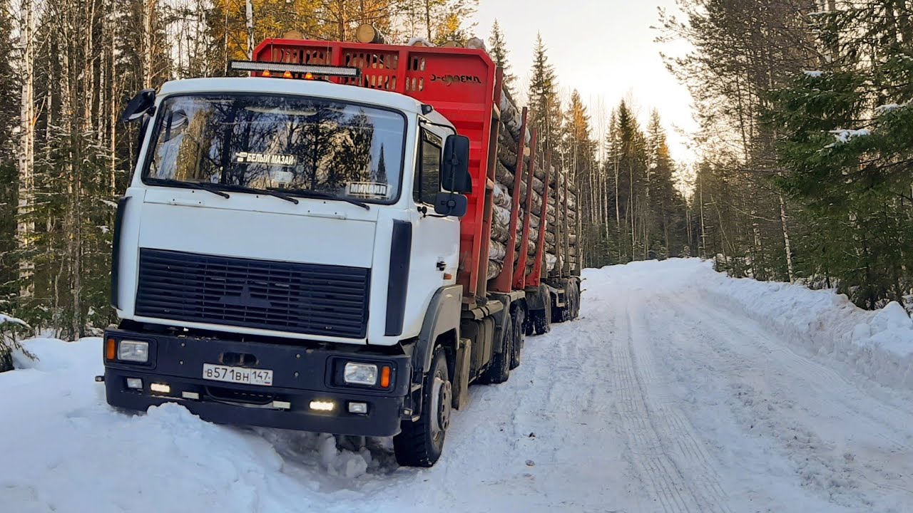Все прелести полного привода. #лесовоз #маз