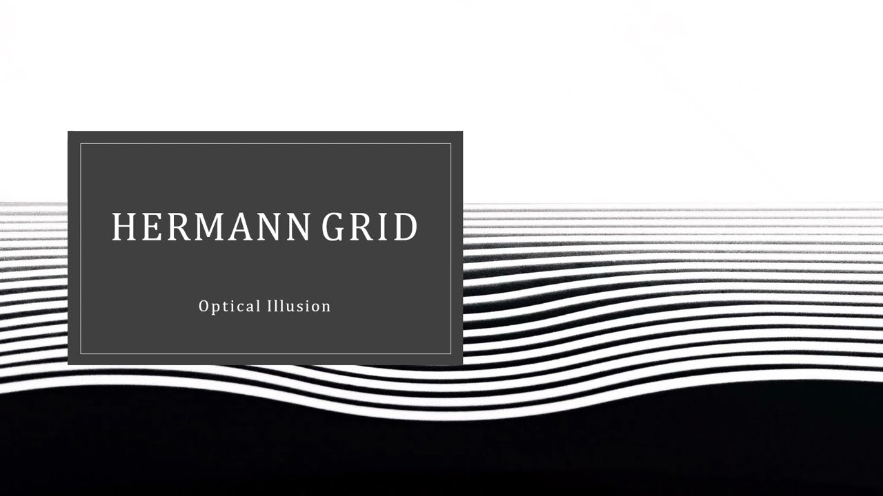 Hermann Grid Illusion