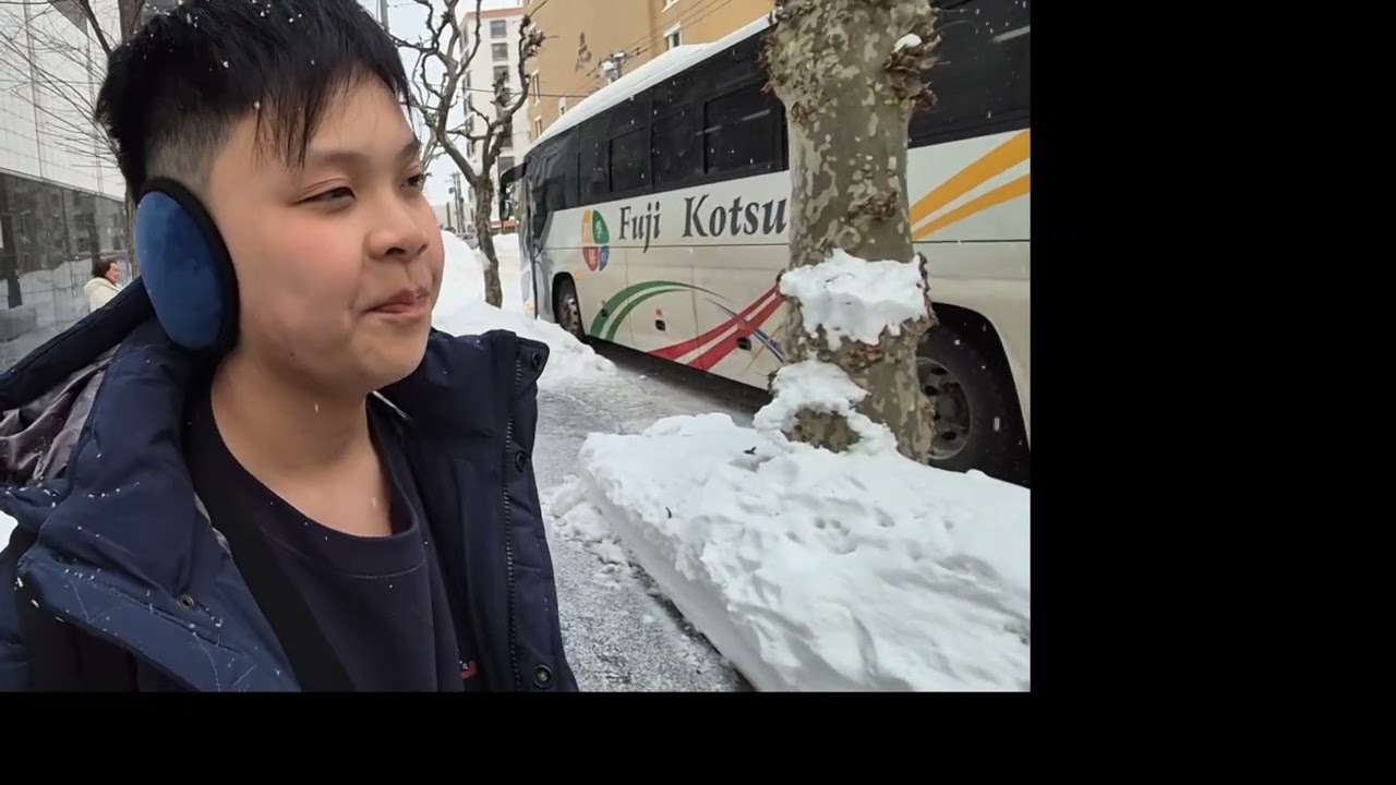 All in sapporo hokkaido japan  prince hotel