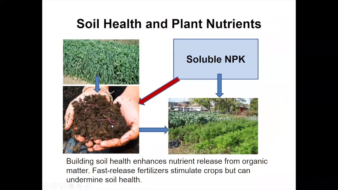 Nutrient Management for Crops, Soil and the Environment