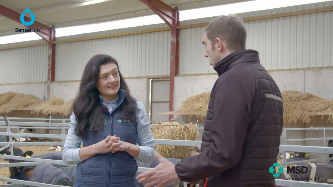 Partners in Reproduction Series - Synchronisation in breeding