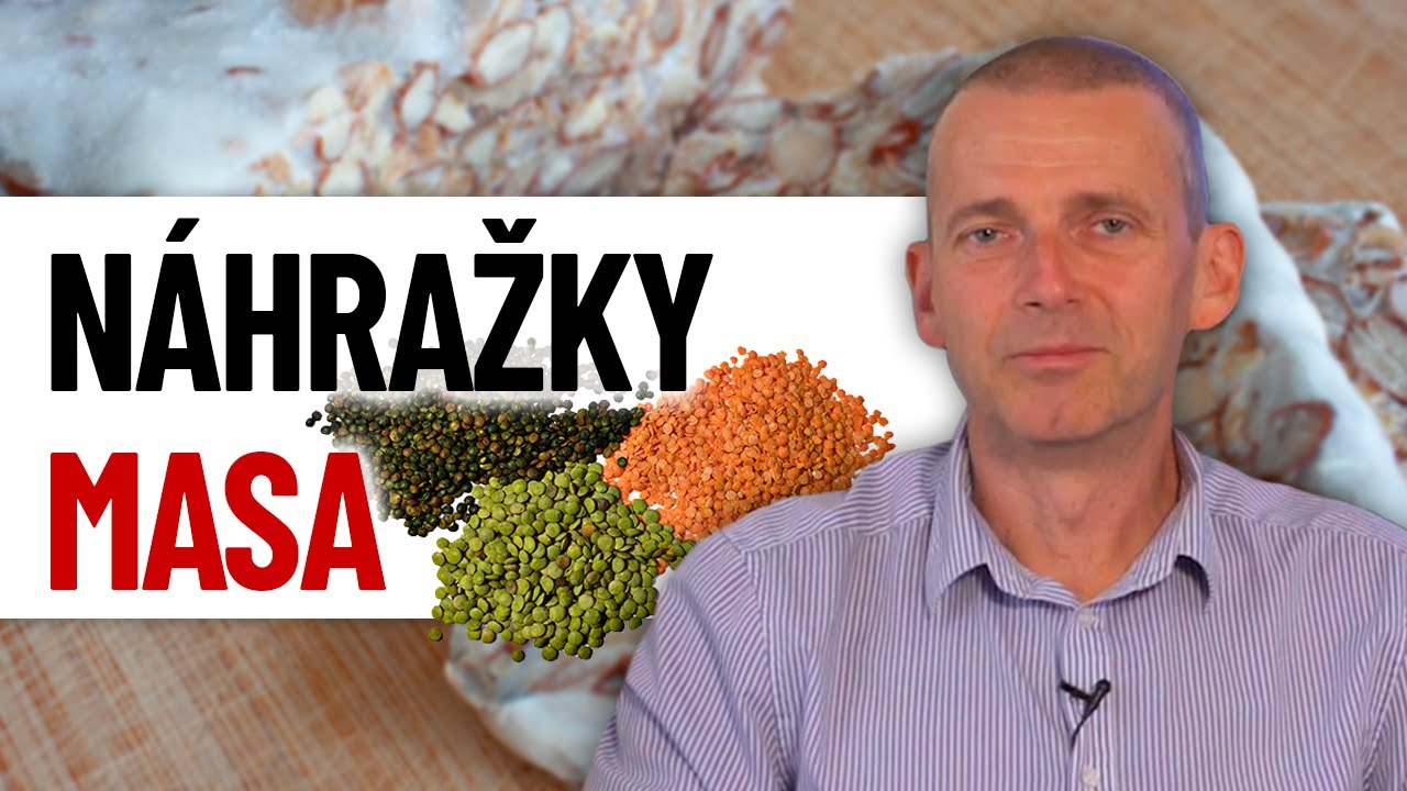Jak kvalitně nahradit maso?