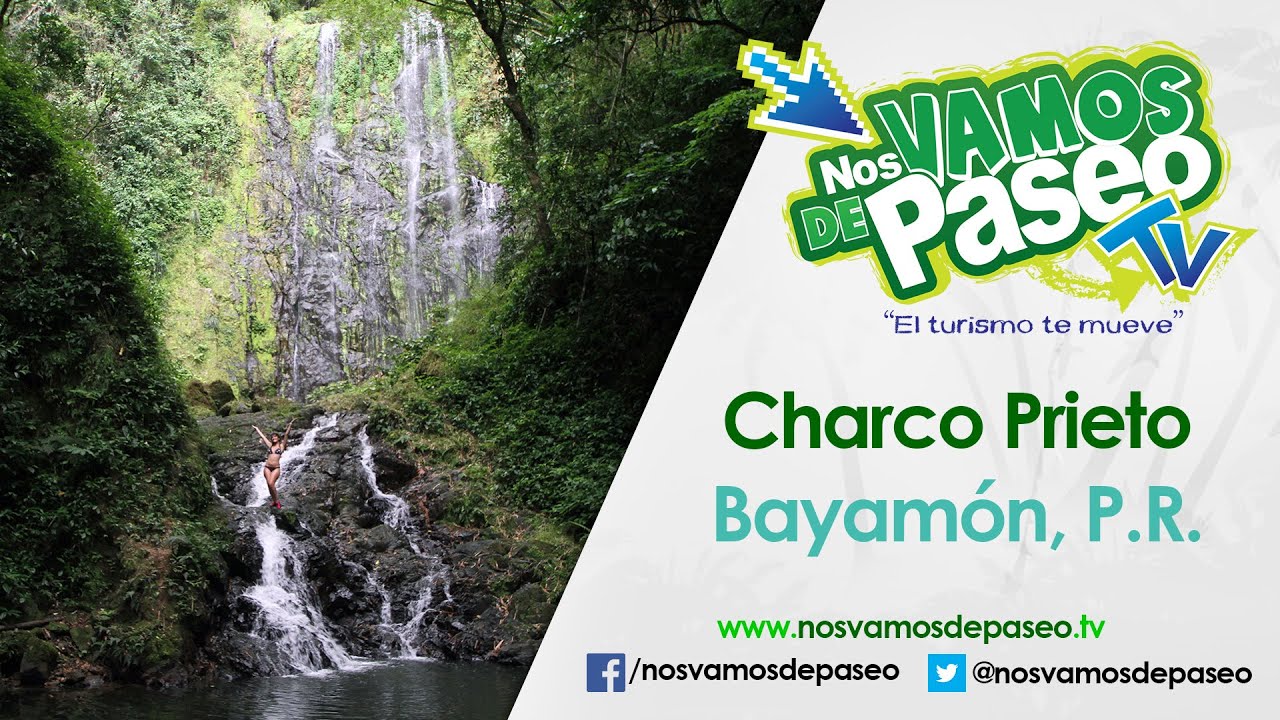 Charco Prieto, Bayamon, P.R.