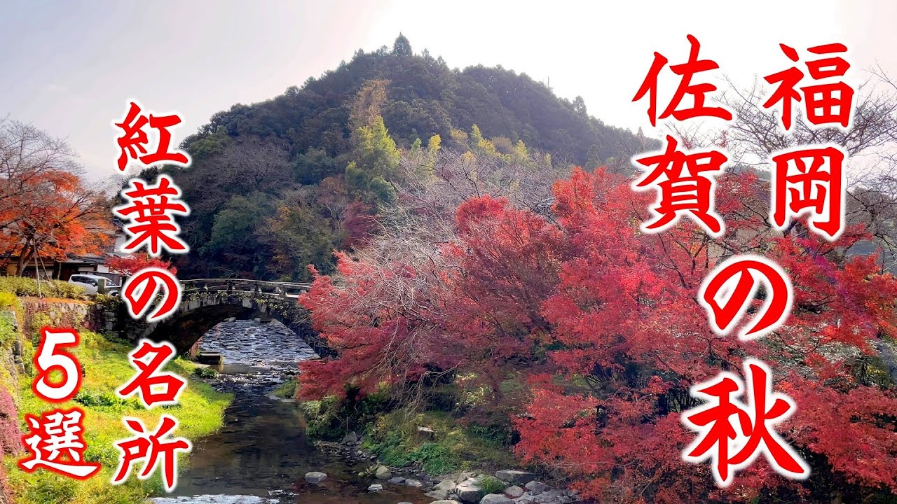 【九州の絶景】色鮮やかな 佐賀・福岡 紅葉の名所