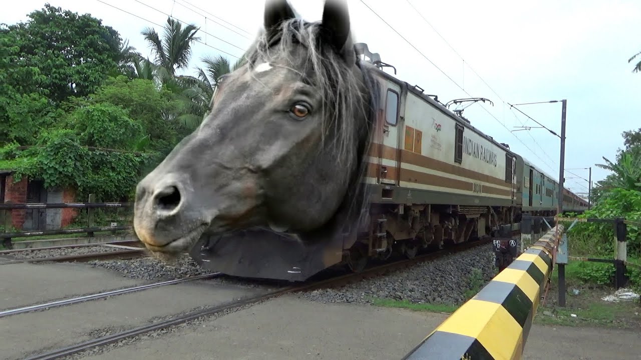 Dangerous Horse Headed Balurghat Express Furious Moving Throughout at Railgate 