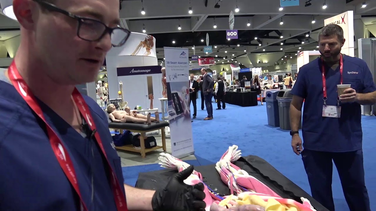 SynDaver Demos Latest Synthetic Cadavers for Medical Education