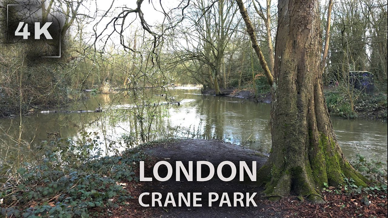 Virtual Walking Tour of Crane Park in London | Serene Nature Sounds in 4K
