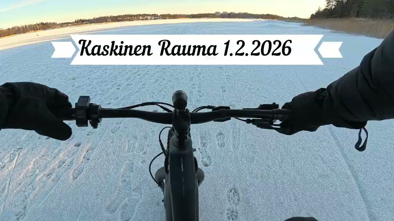 Sähköfät Rauman saaristossa.