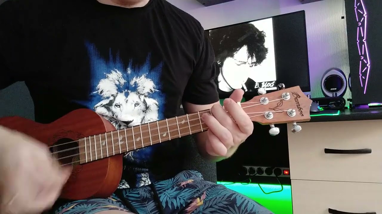 ЦОЙ на УКУЛЕЛЕ - Звезда по имени солнце (укулеле кавер)
