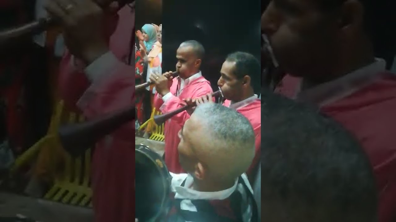 شعبي خطير  2024 هيت گناوي سيدي سليمان مجموعة الصفاء ✨🤩🌼