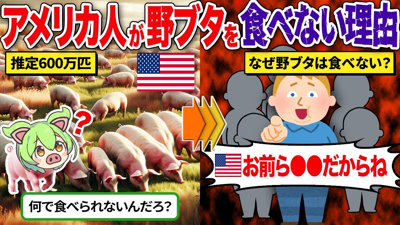 なぜアメリカ人は何百万頭いる野ブタを食べないのか？