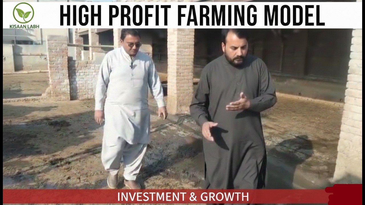 High Profit Farming Model: Is Farm Se Seekhein Kaam Karne Ka Sahi Tareeka||by  Hafiz Gujjar ❤️