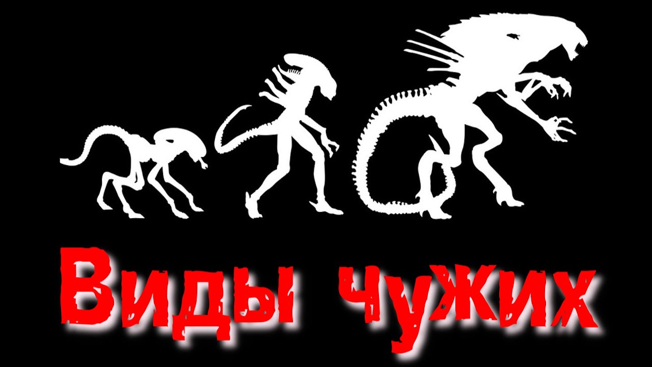 Чужой - Виды | Alien - Xenomorph