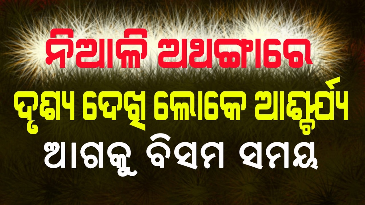 ନିଆଳି ଅଥଙ୍ଗାରେ ଅଦ୍ଭୁତ ଦୃଶ୍ୟ ଲୋକେ ଆଶ୍ଚର୍ଯ୍ୟ || Niali Athangare Loke Ascharjya