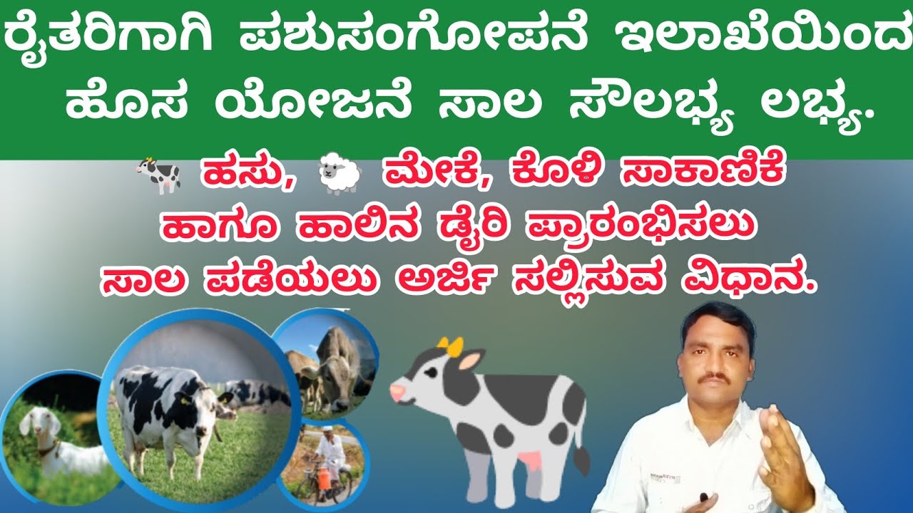 Animal Husbandry AHIDF Scheme Loan | Animal Subsidy Loan | Cow Subsidy Loan