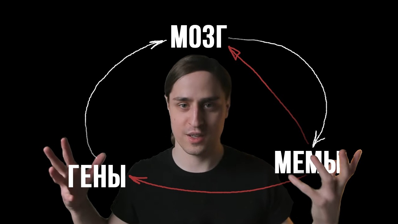 РЕАКЦИЯ НЕЙРОБИОЛОГА НА ВИДЕО ALI ПРО МОЗГ ч. 2
