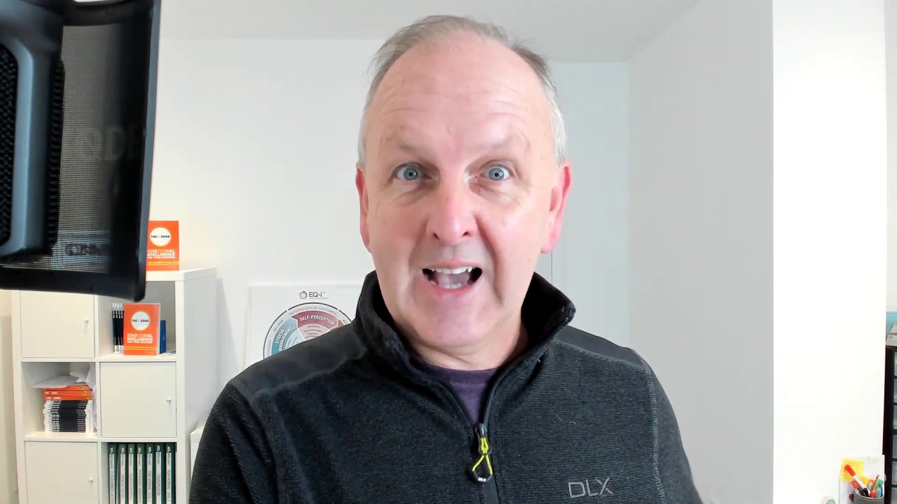 EQi 2 0 Assessment Reports - EQ Certification Training Course