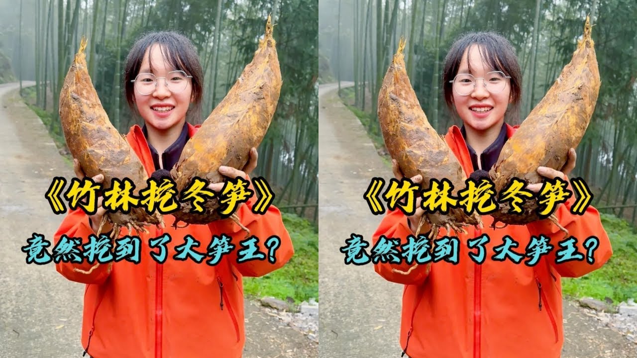 幺妹花200元包下一片竹林挖冬笋，里面的冬笋真的太大了全都是笋王！