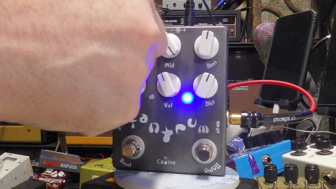 Caline Tantrum overdrive / distortion guitar effects pedal
