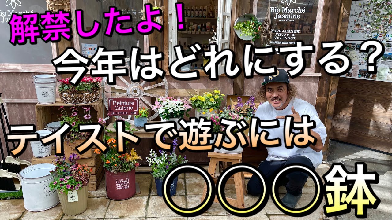 【寄せ植え】秋はテイストで選べる鉢がいっぱい！遂に解禁のブリキ鉢でナチュラルかわいい寄せ植え作り♪