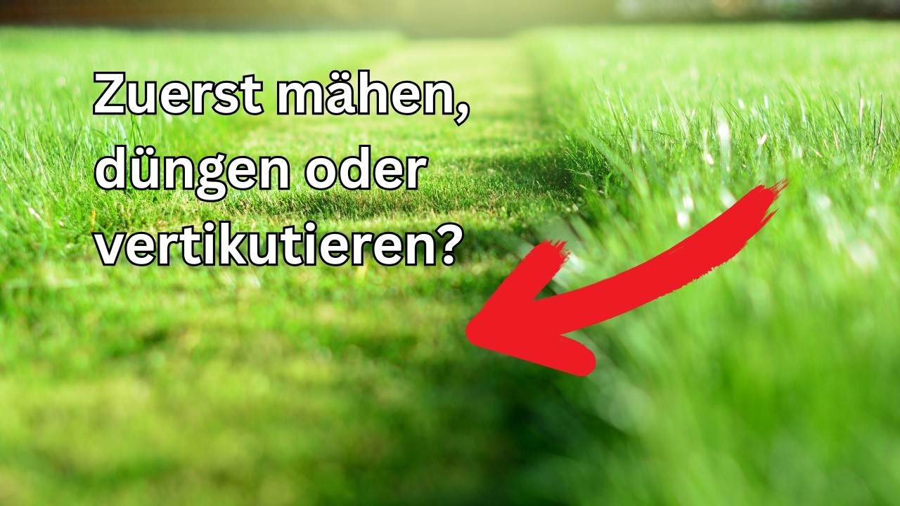 Wenn du deinen Rasen kaputt machen willst, dann mach genau das, was fast alle im Fr&uuml;hling machen.