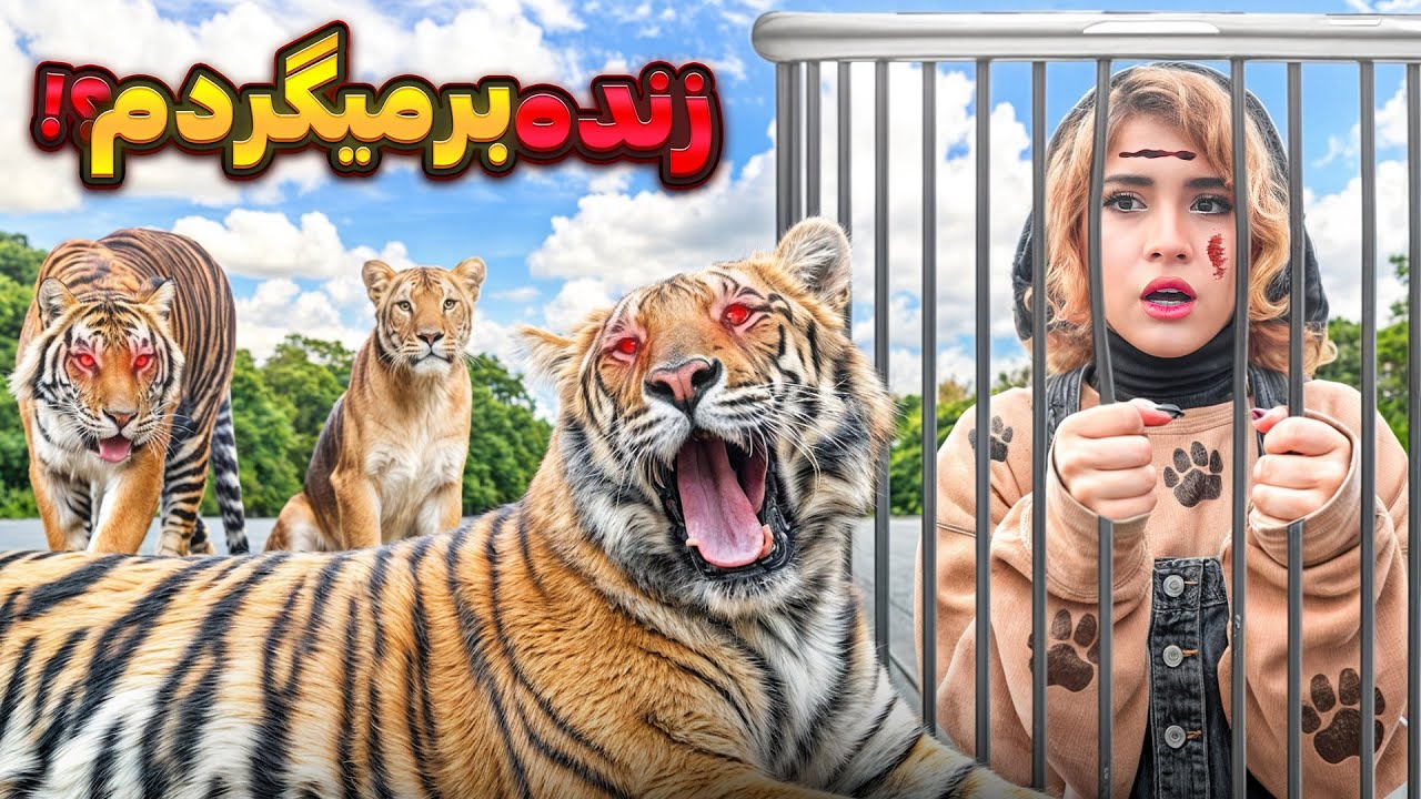 چند قدمیِ ببرهای آزادِ جنگل…🐅