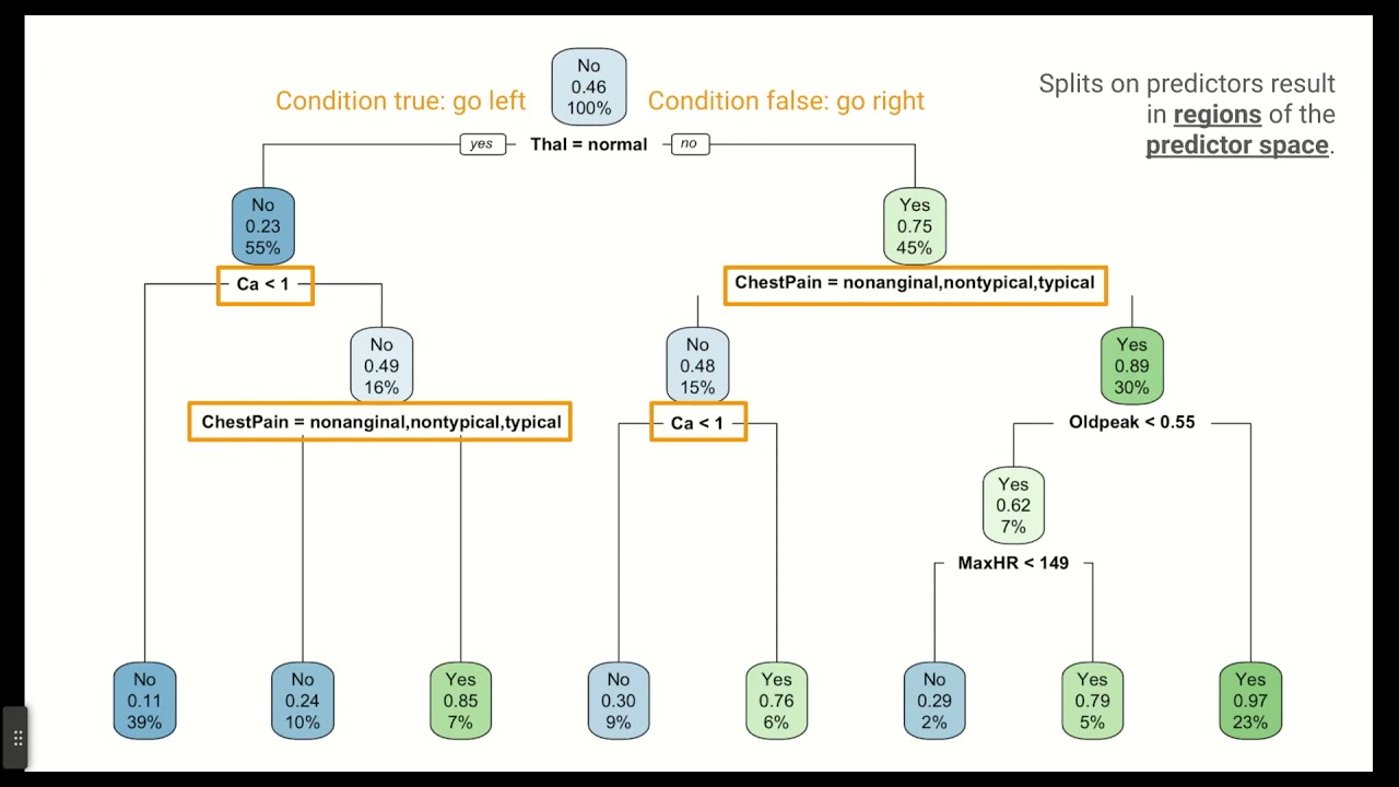 Decision Trees