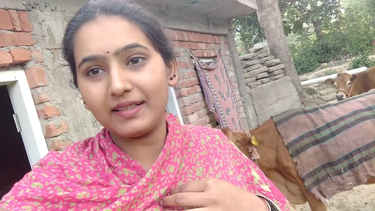 || आज हमारी गाय ने इतना जादा नुकसान कर दिया 😱|| #himachlivlogs #villagelife #viral 
