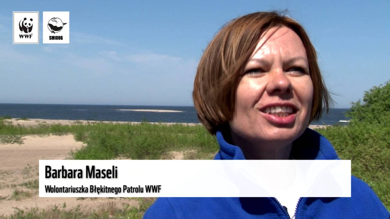 Focza Łacha. Ujście Wisły cz.1 - WWF Polska
