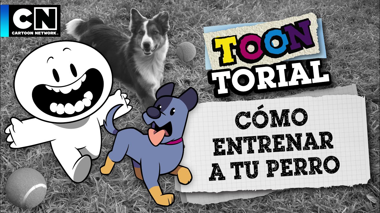 COMO ENTRENAR A TU PERRO | TOONTORIAL | CARTOON NETWORK