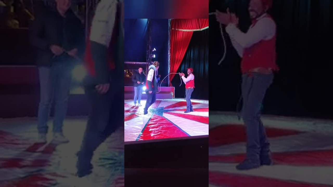 Voulez-vous venir voir un charmant cirque familial avec le plus jeune clown au Monde ?