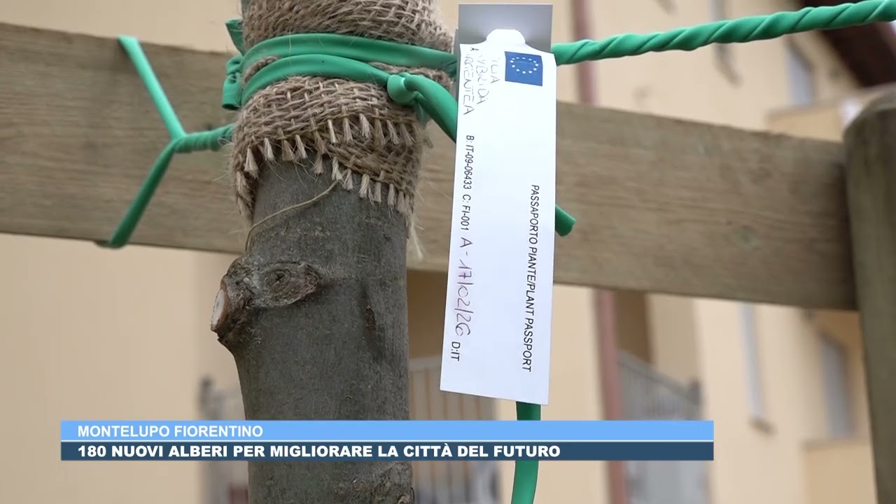 27FEB FORESTAZIONE URBANA, MONTELUPO